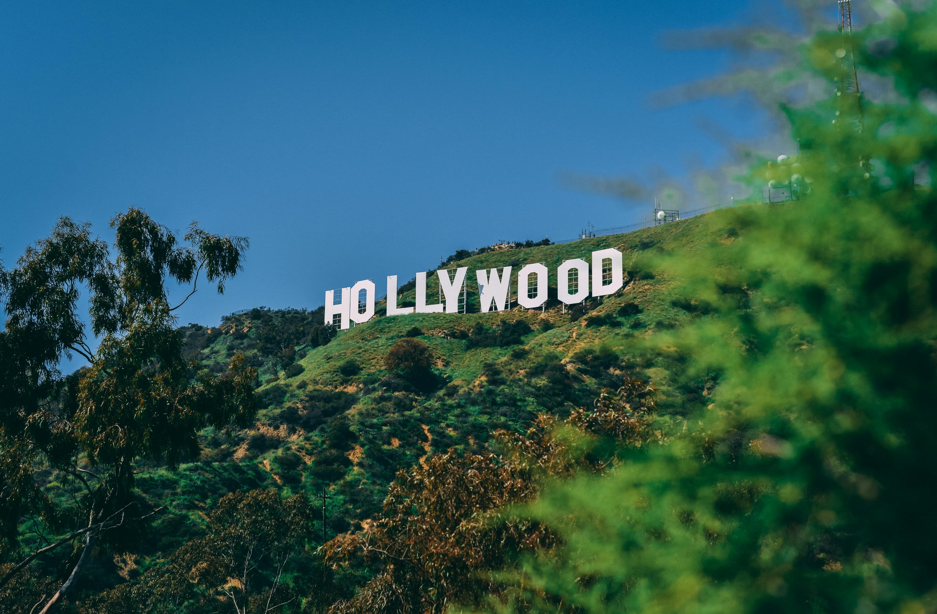 Hollywood & WeHo neighborhood
