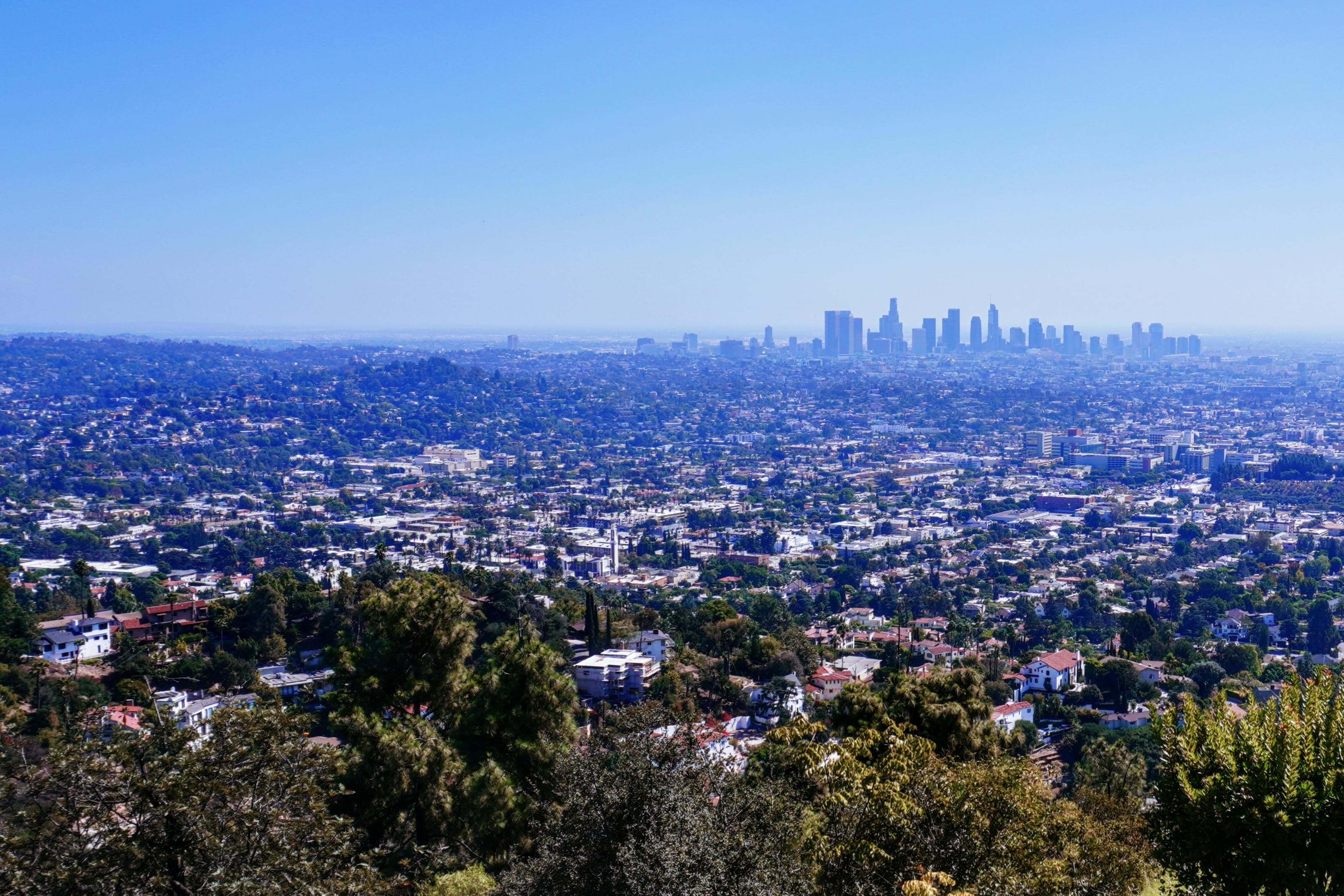 Northeast LA neighborhood